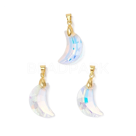 AB Color Plated Glass Pendants PALLOY-JF04595-01-1