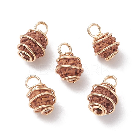 Natural Rudraksha Copper Wire Wrapped Pendants PALLOY-JF02068-01-1