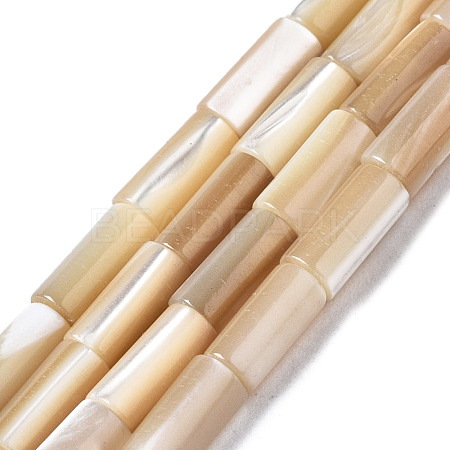 Natural Trochid Shell/Trochus Shell Beads Strands SSHEL-S266-020B-01-1