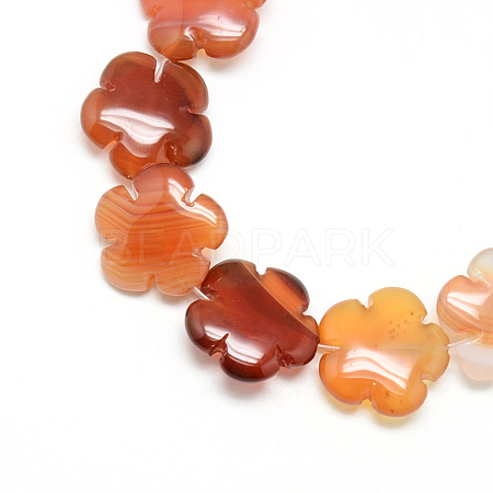 Dyed Natural Red Agate Bead Strands G-T003-16mm-10-1