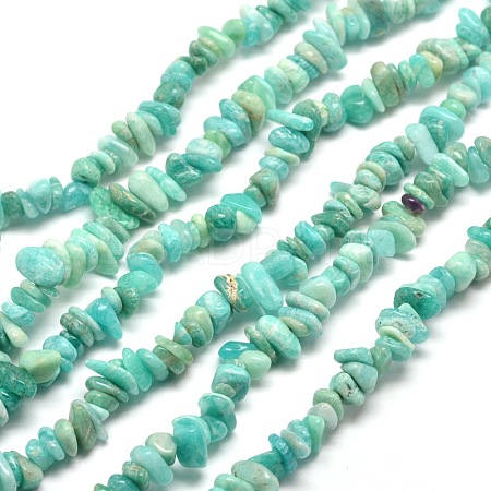 Natural Amazonite Chip Beads Strands X-G-M205-64A-1