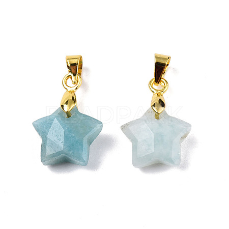 Natural Amazonite Charms G-N326-142-08-1