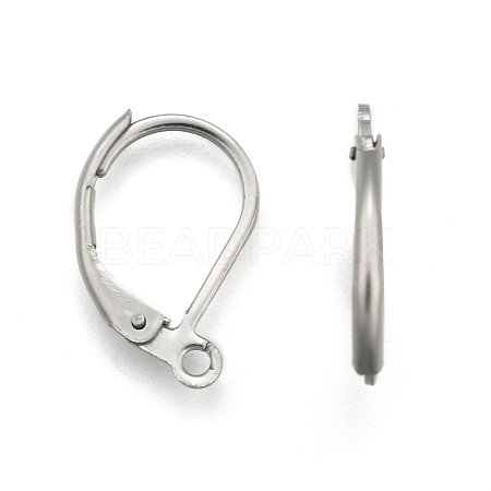 Stainless Steel Color Tone 304 Stainless Steel Leverback Earring Findings X-STAS-E007-3-1