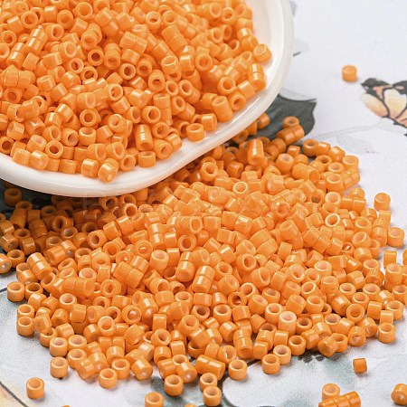 Baking Paint Glass Seed Beads SEED-S042-05A-30-1