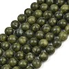 Olive Z0NCT015-2