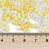 Glass Seed Beads X1-SEED-K010-03A-4