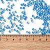 6/0 Transparent Glass Seed Beads SEED-F003-03A-02-4