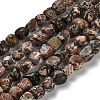Natural Leopard Skin Jasper Beads Strands G-P497-01E-93-1