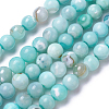 Natural Dyed Agate Imitation Turquoise Beads Strands X-G-P425-02A-8mm-2