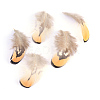 Chicken Feather Costume Accessories X-FIND-Q047-01-1