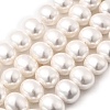 Shell Pearl Beads Strands BSHE-F013-01R-2