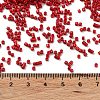 Baking Paint Glass Seed Beads SEED-S042-05B-89-4