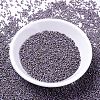 MIYUKI Delica Beads SEED-JP0008-DB1065-2