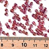 Round Glass Seed Beads SEED-A007-3mm-165B-3