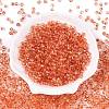 Baking Paint Electroplate Transparent Glass Seed Beads SEED-N006-07B-2