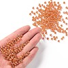 6/0 Glass Seed Beads X1-SEED-A007-4mm-169-4