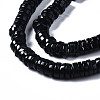 Natural Freshwater Shell Beads Strands SHEL-Q024-001A-3