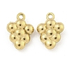 Ion Plating(IP) 304 Stainless Steel Charms STAS-I307-554G-1