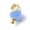 Electroplate Glass Charms PALLOY-JF00821-05-4