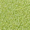MIYUKI Delica Beads SEED-MY11-DB0860-3