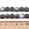 Frosted Transparent Glass Beads Strands LS-GLAA-T032-T10mm-MBB02-4