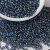 MIYUKI Round Rocailles Beads SEED-G008-RR0249-1