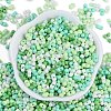 Glass Seed Beads SEED-K010-03H-3