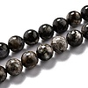 Natural Glaucophane Beads Strands G-L574-01C-1