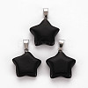 Star Natural Black Stone Pendants G-Q367-23-1