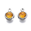 201 Stainless Steel Rhinestone Charms STAS-S068-18-3