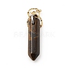 Insect Natural Tiger Eye Pointed Pendants G-I333-02G-2