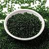 MIYUKI Round Rocailles Beads X-SEED-G008-RR0158-2