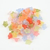 Mixed Color Frosted Transparent Acrylic Flower Beads X-M-PL554-3