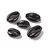 Baking Paint Cowrie Shell Beads SSHEL-M023-01B-1