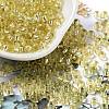 Glass Seed Beads SEED-H002-C-A035-1