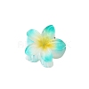 Plastic Claw Hair Clips PW-WG07B2B-12-1