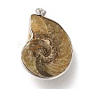 Snail Fossil Pendants G-D051-1-2