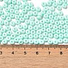 Baking Paint Glass Seed Beads SEED-B001-02A-14-4