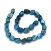Natural Apatite Beads Strands G-O173-040-2