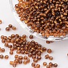 8/0 Glass Seed Beads X2-SEED-A005-3mm-53-1