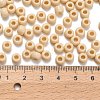 TOHO 3/0 Round Beads X-SEED-TR03-0051-3