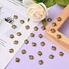 Tibetan Style Alloy Charms LS-MLF1170Y-4
