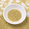 MIYUKI Delica Beads X-SEED-J020-DB0042-2