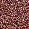TOHO 6/0 Round Beads X-SEED-TR06-1201-3