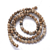 Natural Picture Jasper Beads Strands G-S281-43-3mm-2