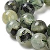 Natural Prehnite Beads Strands G-G457-10mm-03-7