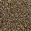 MIYUKI Delica Beads SEED-X0054-DB2396-3