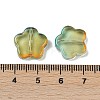 Transparent Glass Beads DGLA-E004-03D-3