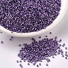 MIYUKI Delica Beads SEED-MY11-DB0430-1