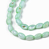 Natural Freshwater Shell Beads Strands SHEL-N003-25-B03-3